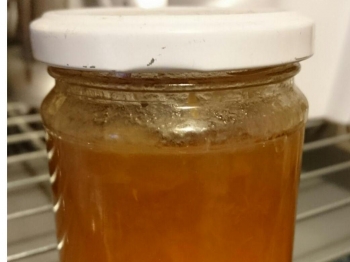 marmellata di rabarbaro